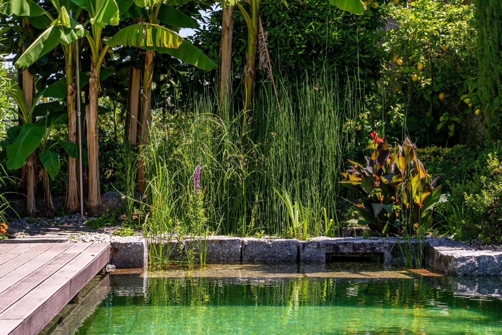 Gondomar Guimaraes - Moradia V3 Com Piscina Natural By House And People Exterior photo
